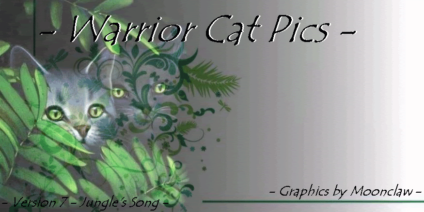 Warrior Cat Pics