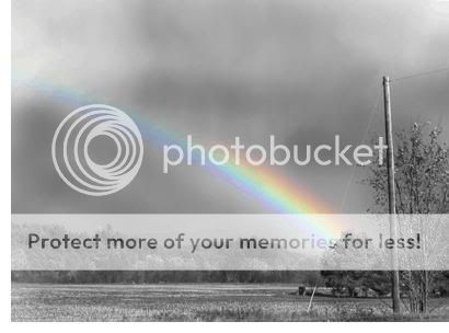 black-and-white.jpg Purty image by robinmstark