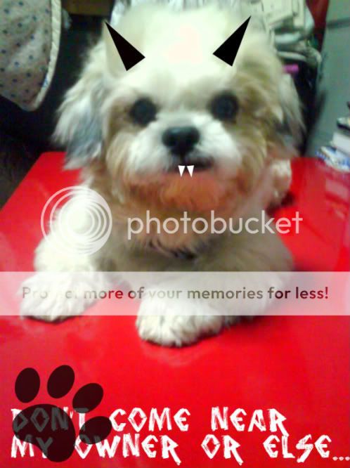 Photobucket