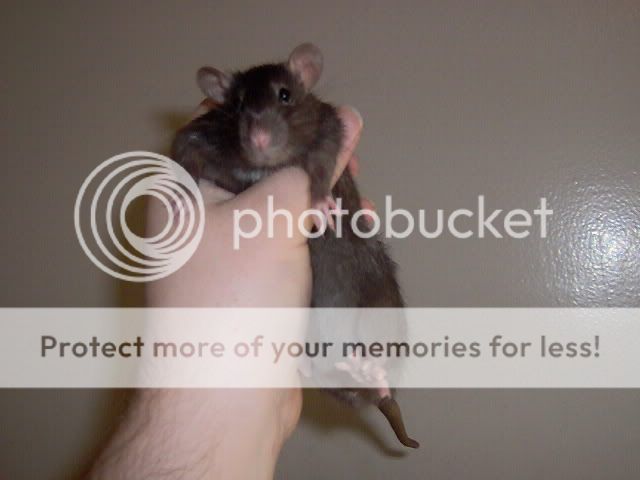 Picture623.jpg