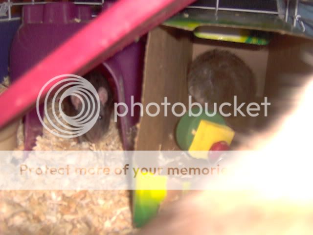 Picture668.jpg