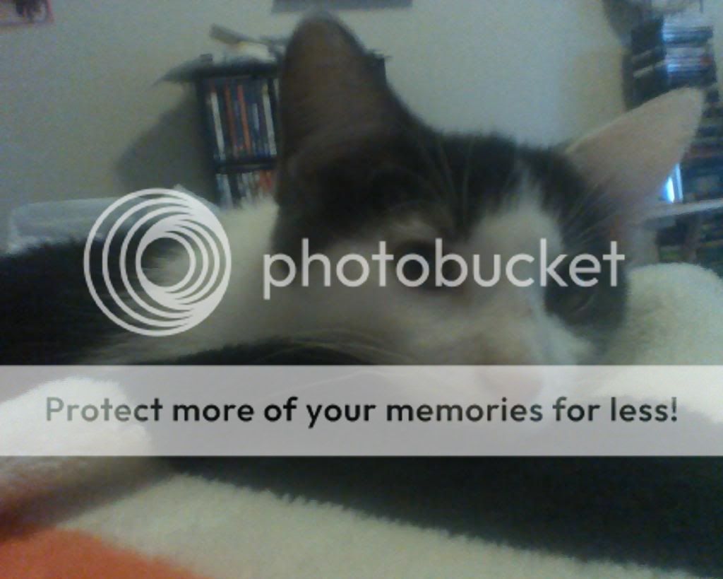 Picture721.jpg
