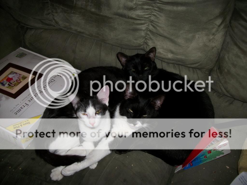Picture827.jpg