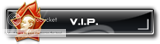 v i p v i p