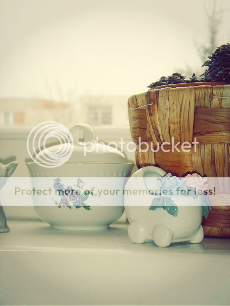 http://i584.photobucket.com/albums/ss285/thirdtimesalaw/asas.jpg?t=1238321586