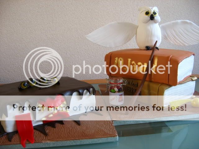 http://i584.photobucket.com/albums/ss286/nschaake/IMG115HarryPottertaarten3_resize.jpg