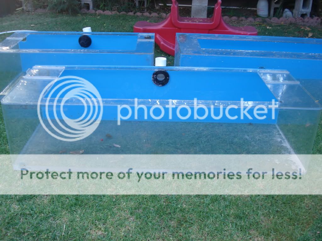 WIDE ACRYLIC TANKS / SoCal 90230 / P U ONLY