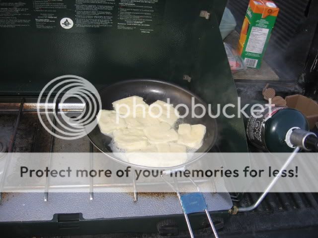 PL13.jpg
