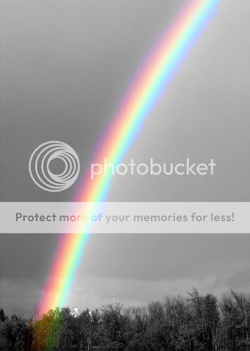 colour splash rainbow Pictures, Images and Photos