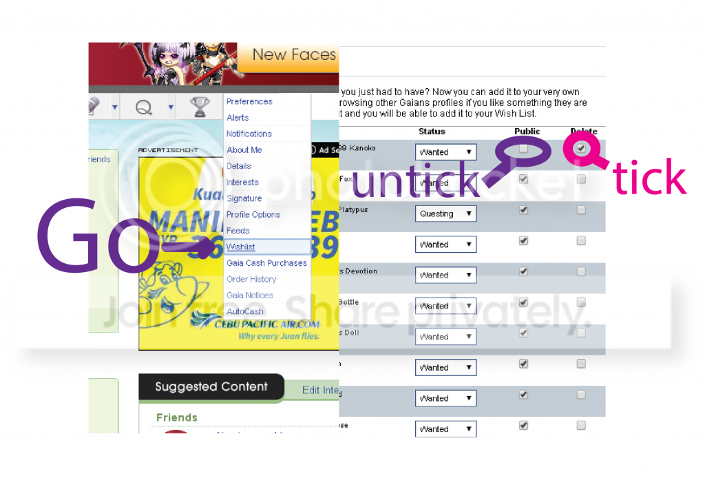 User Image